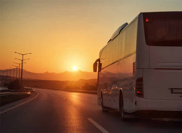 Bus on sustainable road trip
